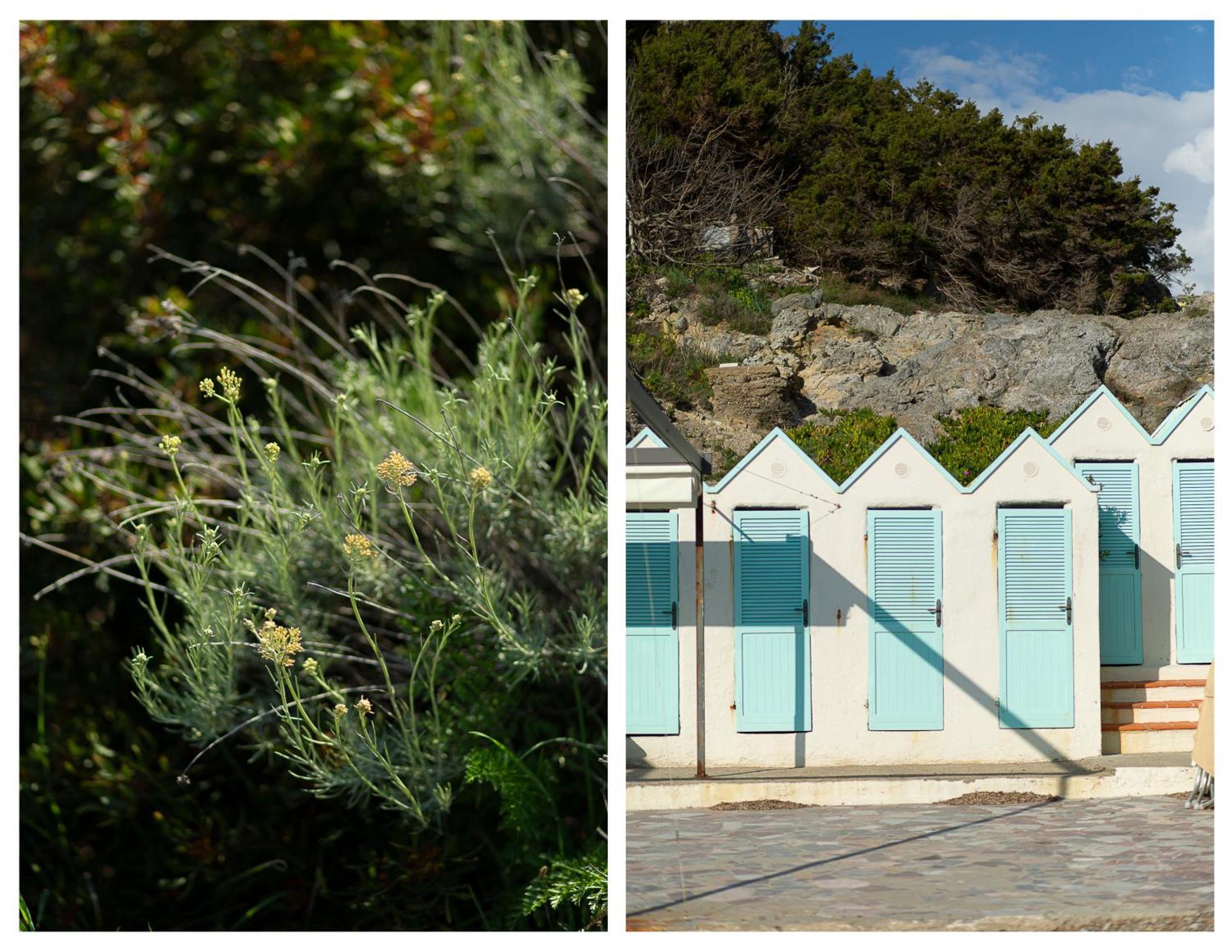 La Casa Di Marco, Holidays, Sea And Nature Монтиано Екстериор снимка